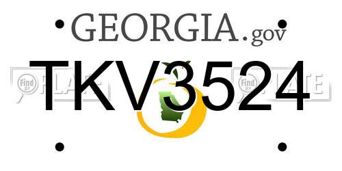 TKV3524 Georgia License Plate