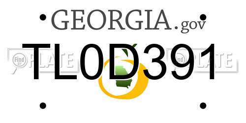 TL0D391 Georgia License Plate