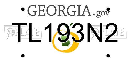 TL193N2 Georgia License Plate