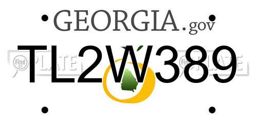TL2W389 Georgia License Plate