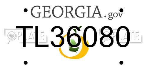 TL36080 Georgia License Plate