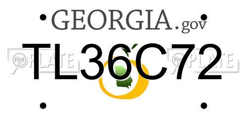 TL36C72 Georgia License Plate