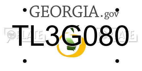 TL3G080 Georgia License Plate