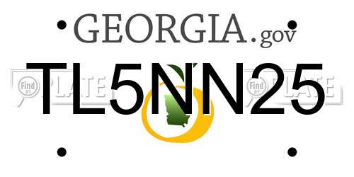 TL5NN25 Georgia License Plate