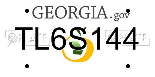 TL6S144 Georgia License Plate
