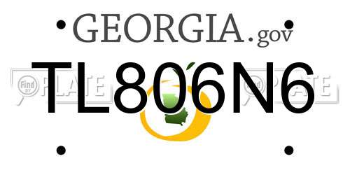 TL806N6 Georgia License Plate