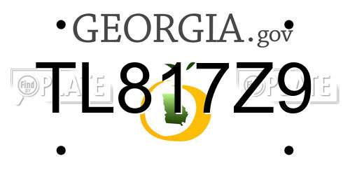 TL817Z9 Georgia License Plate