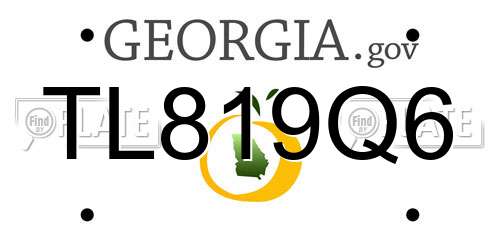 TL819Q6 Georgia License Plate