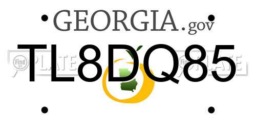 TL8DQ85 Georgia License Plate
