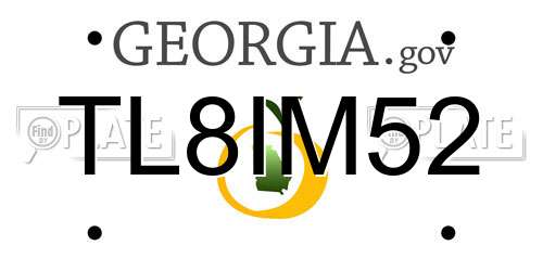 TL8IM52 Georgia License Plate