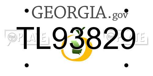 TL93829 Georgia License Plate