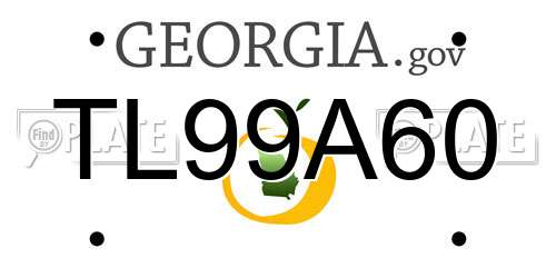 TL99A60 Georgia License Plate