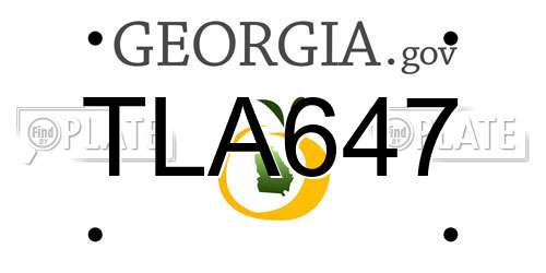 TLA647 Georgia License Plate