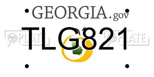 TLG821 Georgia License Plate