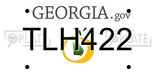 TLH422 Georgia License Plate