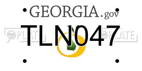 TLN047 Georgia License Plate