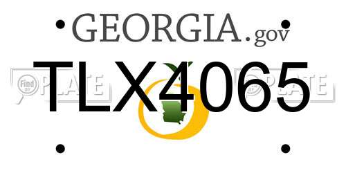 TLX4065 Georgia License Plate