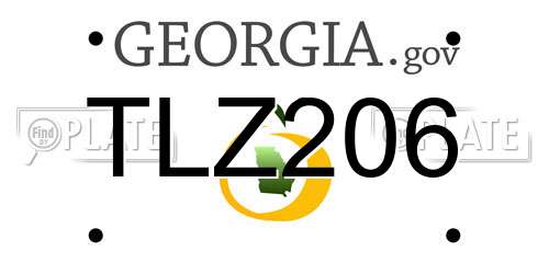 TLZ206 Georgia License Plate