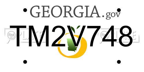 TM2V748 Georgia License Plate
