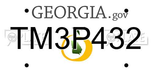TM3P432 Georgia License Plate