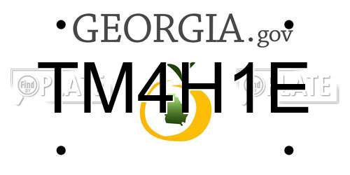 TM4H1E Georgia License Plate