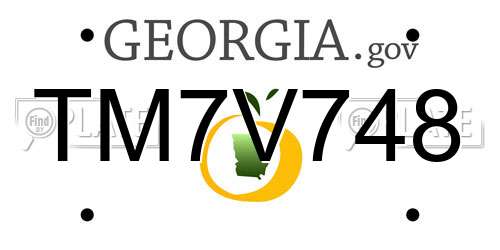 TM7V748 Georgia License Plate