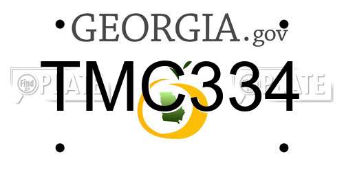 TMC334 Georgia License Plate