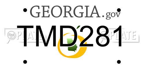 TMD281 Georgia License Plate