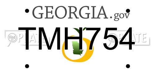 TMH754 Georgia License Plate