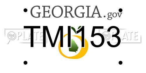 TMI153 Georgia License Plate