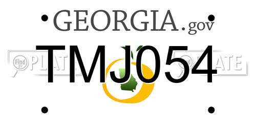 TMJ054 Georgia License Plate