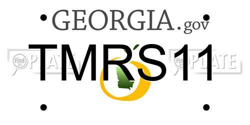 TMRS11 Georgia License Plate