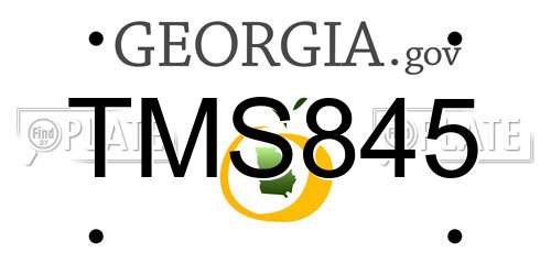 TMS845 Georgia License Plate
