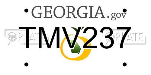 TMV237 Georgia License Plate