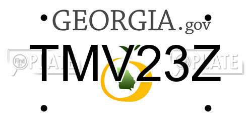 TMV23Z Georgia License Plate