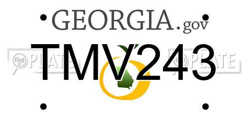TMV243 Georgia License Plate