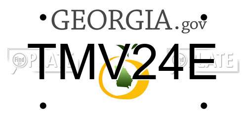 TMV24E Georgia License Plate