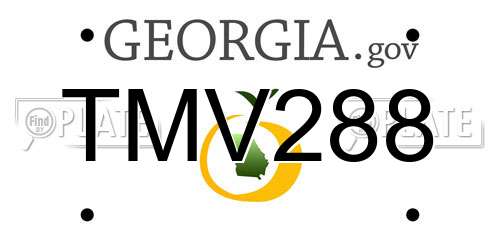 TMV288 Georgia License Plate