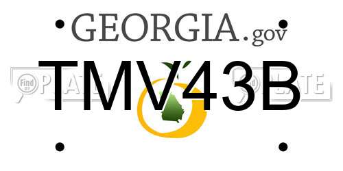 TMV43B Georgia License Plate