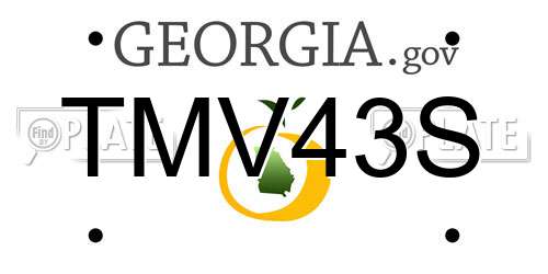 TMV43S Georgia License Plate