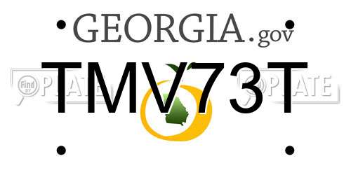 TMV73T Georgia License Plate