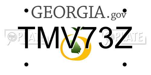TMV73Z Georgia License Plate