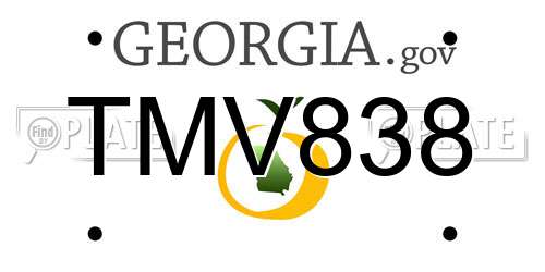TMV838 Georgia License Plate
