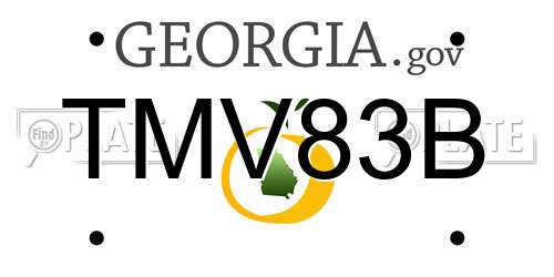 TMV83B Georgia License Plate