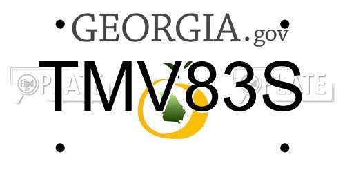 TMV83S Georgia License Plate