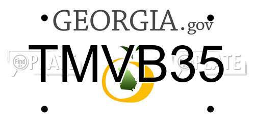 TMVB35 Georgia License Plate