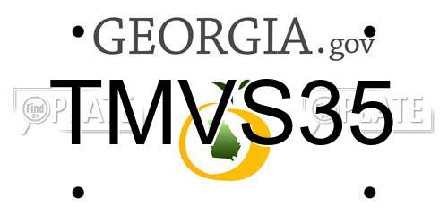 TMVS35 Georgia License Plate