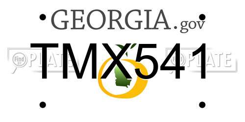 TMX541 Georgia License Plate