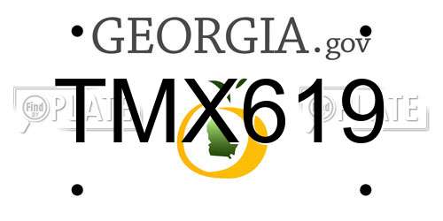 TMX619 Georgia License Plate