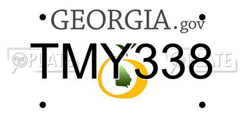 TMY338 Georgia License Plate